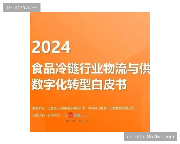 行业标准体系逐步完善 规范服务质量保障市场健康发展